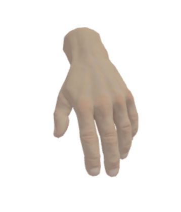 Hand